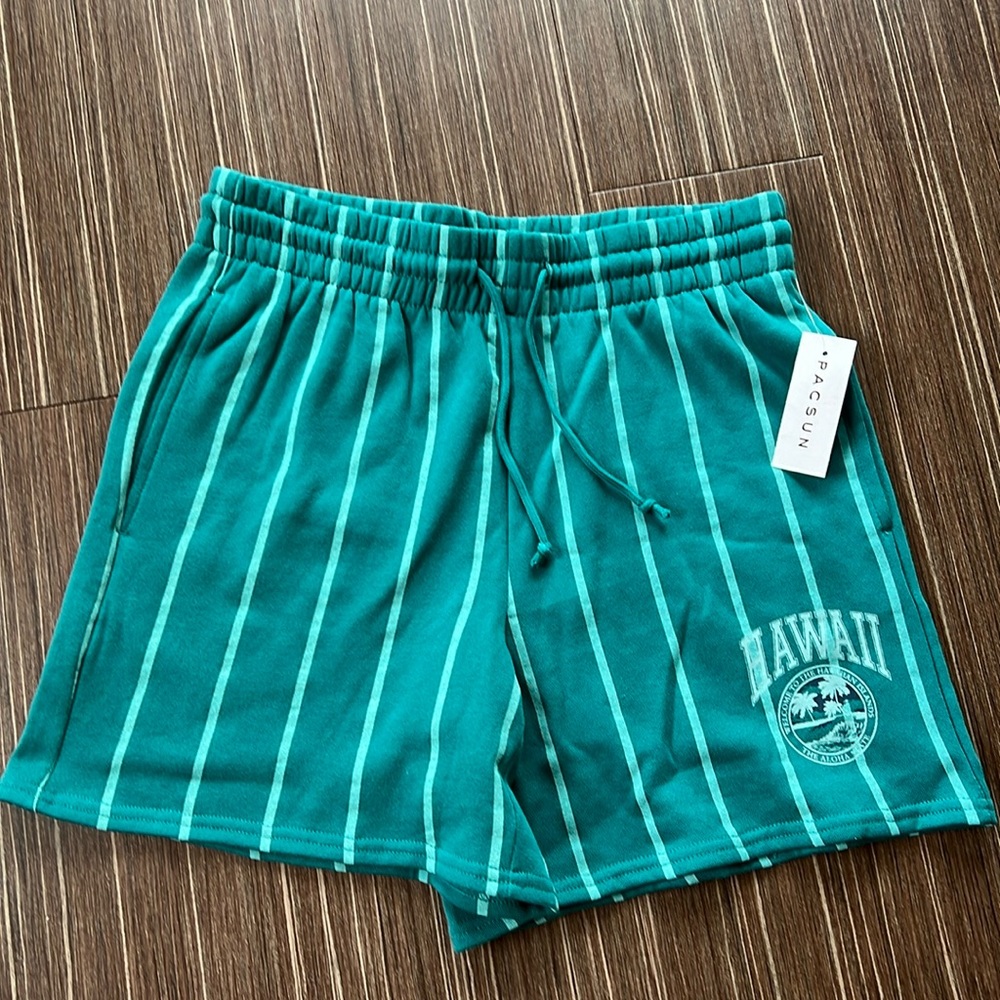 NWT PacSun Hawaii Varsity Sweat Shorts